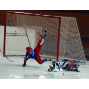 Хоккей с мячом