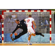 Ворота и корзины