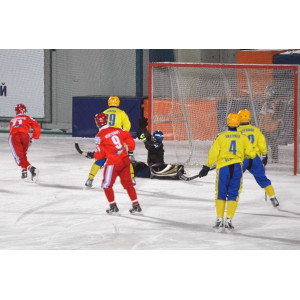 Сетка для хоккея с мячом ds-26